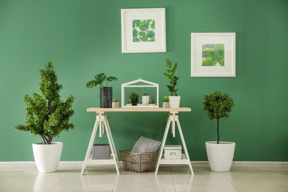 Plantas para Ambientes Internos